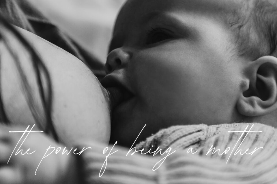 Stillbilder-Fotografin-Berlin-Familienfotos-Motherhood-Babybauch-Shooting